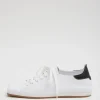 Seth Sneaker