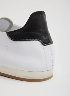 Seth Sneaker